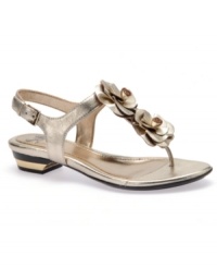 Everything about the Barcelona sandals by Sofft say summer, especially the twin floral accents at the vamp and metallic inserts at the wearable heel. Everything about the Barcelona sandals by Sofft say summer, especially the twin floral accents at the vamp and metallic inserts at the wearable heel.