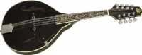 Rogue RM-100A A-Style Mandolin Black Rogue RM-100A A-Style Mandolin Black