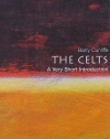 The Celts: A Very Short Introduction