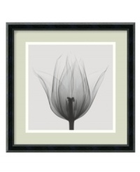 What's on the inside counts when it comes to Steven N. Meyers' astounding x-ray images. With a sleek black frame, this Triumph Tulip print offers an intriguing black-and-white look at the seemingly simple bloom. What's on the inside counts when it comes to Steven N. Meyers' astounding x-ray images. With a sleek black frame, this Triumph Tulip print offers an intriguing black-and-white look at the seemingly simple bloom.