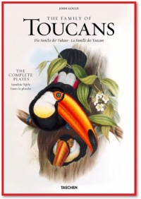 John Gould: Family of Toucans John Gould: Family of Toucans