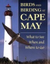 Birds and Birding at Cape May: What to See and When and Where to Go