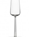 Iittala Essence 7-Ounce Champagne Glass, Set of 2