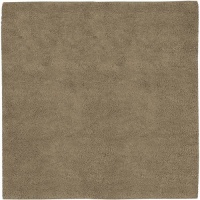 Area Rug 8x8 Square Shag Tan Color - Surya Aros Rug from RugPal Area Rug 8x8 Square Shag Tan Color - Surya Aros Rug from RugPal