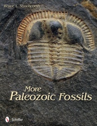 More Paleozoic Fossils More Paleozoic Fossils