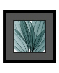 Using x-ray instead of light Steven Meyers has created an unusual print of leaves that highlights their hidden textures and subtle tones. Tastefully presented in a black wood frame that enhances the sea green of the leaves, it's ready to be displayed wherever you want a splash of natural color. Using x-ray instead of light Steven Meyers has created an unusual print of leaves that highlights their hidden textures and subtle tones. Tastefully presented in a black wood frame that enhances the sea green of the leaves, it's ready to be displayed wherever you want a splash of natural color.
