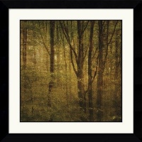 Fog in Mountain Trees No. 2 Framed Art Print by John W. Golden Fog in Mountain Trees No. 2 Framed Art Print by John W. Golden