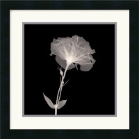 Bud in Bloom Framed Art Print Framed Decorative Art Print - 18 x 18 Bud in Bloom Framed Art Print Framed Decorative Art Print - 18 x 18