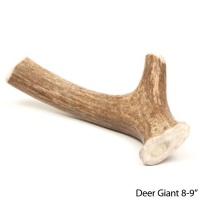 Prairie Dog Giant Deer Antler Dog Chew Prairie Dog Giant Deer Antler Dog Chew