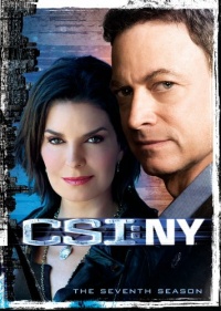 CSI: NY - The Seventh Season CSI: NY - The Seventh Season