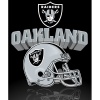 Oakland Raiders Lightweight Rolled Throw Blanket