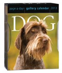 Dog 2013 Gallery Calendar Dog 2013 Gallery Calendar