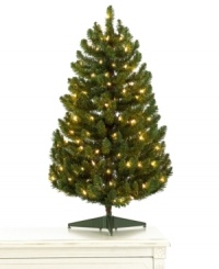 Full of life year after year, this Martha Stewart Collection Christmas tree boasts lush green branches that shine with 100 perfectly spaced lights. A smaller stature makes it ideal for tight spaces like city apartments and college dorms. Full of life year after year, this Martha Stewart Collection Christmas tree boasts lush green branches that shine with 100 perfectly spaced lights. A smaller stature makes it ideal for tight spaces like city apartments and college dorms.