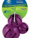 PetSafe Busy Buddy Barnacle Dog Toy, Medium