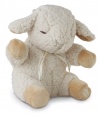 Cloud b Sound Machine Soother, Sleep Sheep