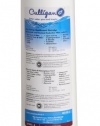 Culligan RC-EZ-4 EZ-Change Level-4 Replacement Cartridge