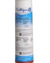 Culligan RC-EZ-3 EZ-Change Replacement Cartridges, 500 Gallon