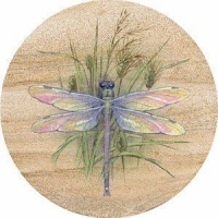 Dragonfly Sandstone Thirstystone Coasters Dragonfly Sandstone Thirstystone Coasters