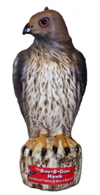 Bird B Gone MMRTH1 Hawk Decoy Bird B Gone MMRTH1 Hawk Decoy