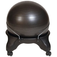 Health Mark Swiss Ball Chair Health Mark Swiss Ball Chair