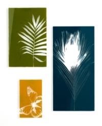 Feel at ease among serene images of a fern, feather and butterfly, each screen-printed and silhouetted by rich earth tones. From Umbra. Feel at ease among serene images of a fern, feather and butterfly, each screen-printed and silhouetted by rich earth tones. From Umbra.