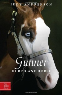 Gunner: Hurricane Horse (True Horse Stories) Gunner: Hurricane Horse (True Horse Stories)
