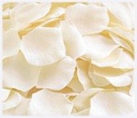 Ivory Silk Rose Petals - Bag of 200 petals Ivory Silk Rose Petals - Bag of 200 petals