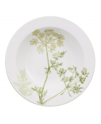 A natural for casual dining, the Althea Nova rim cereal bowl by Villeroy & Boch features durable porcelain planted with delicate herbs for a look that's fresh from the garden. With green trim. A natural for casual dining, the Althea Nova rim cereal bowl by Villeroy & Boch features durable porcelain planted with delicate herbs for a look that's fresh from the garden. With green trim.