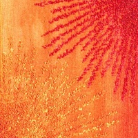 Safavieh Soho Collection Explosions Handmade New Zealand Wool Square Area Rug, Rust Safavieh Soho Collection Explosions Handmade New Zealand Wool Square Area Rug, Rust