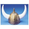 One Adult Plastic Viking Helmet