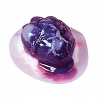 Halloween Heart Gelatin Mold Halloween Heart Gelatin Mold
