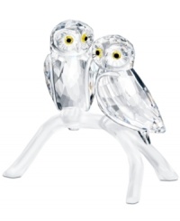 Day or night, these adorable owl figurines will shine on in faceted Swarovski crystal with wide, topaz-colored eyes and a matte crystal perch. Day or night, these adorable owl figurines will shine on in faceted Swarovski crystal with wide, topaz-colored eyes and a matte crystal perch.