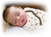 Summer Infant SwaddleMe ,Graphic Jungle Summer Infant SwaddleMe ,Graphic Jungle