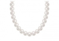 Akoya Cultured Pearl Necklace : 14K White Gold 4 MM Akoya Cultured Pearl Necklace : 14K White Gold Akoya Cultured Pearl Necklace : 14K White Gold 4 MM Akoya Cultured Pearl Necklace : 14K White Gold