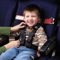 Child Airplane Travel Harness - Cares Safety Restraint System - The Only FAA Approved Child Flying Safety Device Child Airplane Travel Harness - Cares Safety Restraint System - The Only FAA Approved Child Flying Safety Device