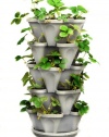 Mr Stacky 5 Tiered Hanging and Stacking Indoor Outdoor Vertical Strawberry Planter - Learn How to Grow Organic Strawberries Easy with These Cool Stone Plastic Containers - Great Garden Planting Pots - Planters Also Used for Herbs Peppers Flowers Tomatoes 