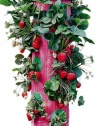 Felknor Ventures TT041112 Topsy Turvy Strawberry Planter