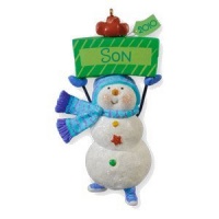 One Fun Son 2010 Hallmark Keepsake Ornament Personalize One Fun Son 2010 Hallmark Keepsake Ornament Personalize
