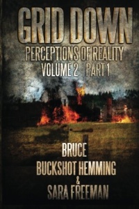Grid Down Perceptions Of Reality Vol 2 Book 1 (Volume 2) Grid Down Perceptions Of Reality Vol 2 Book 1 (Volume 2)