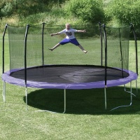 17' x15' Oval Trampoline and Enclosure Pad Color: Purple 17' x15' Oval Trampoline and Enclosure Pad Color: Purple