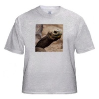 Galapagos Islands, Ecuador. Giant tortoise - SA07 MDE0108 - Michael DeFreitas - Adult Birch-Gray-T-Shirt Small Galapagos Islands, Ecuador. Giant tortoise - SA07 MDE0108 - Michael DeFreitas - Adult Birch-Gray-T-Shirt Small