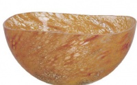 Dino Orange Bowl Dino Orange Bowl