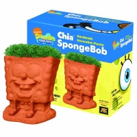 Chia SpongeBob Handmade Decorative Planter Chia SpongeBob Handmade Decorative Planter