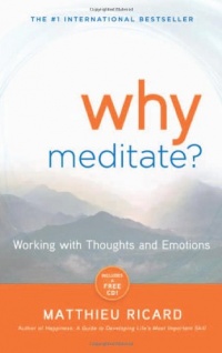 Why Meditate: Working with Thoughts and Emotions Why Meditate: Working with Thoughts and Emotions