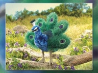 Small Peacock Small Peacock
