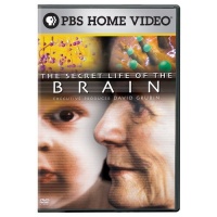 The Secret Life of the Brain The Secret Life of the Brain