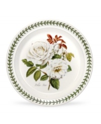 For the discerning china collector or naturalist on your gift list, the Botanic Garden rose bread and butter plate features a beautiful bloom that's finely detailed and colorfully rendered. For the discerning china collector or naturalist on your gift list, the Botanic Garden rose bread and butter plate features a beautiful bloom that's finely detailed and colorfully rendered.