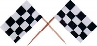 Wooden Race Car Flag Picks (Receive 144 Per Order) Wooden Race Car Flag Picks (Receive 144 Per Order)
