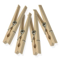 Honey-Can-Do DRY-01376 Wood Clothespins with Spring, 100-Pack Honey-Can-Do DRY-01376 Wood Clothespins with Spring, 100-Pack