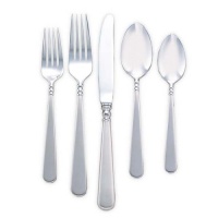 Lenox Pearl Platinum Stainless-Steel 5-Piece Place Setting, Service for 1 Lenox Pearl Platinum Stainless-Steel 5-Piece Place Setting, Service for 1